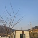 경상북도교육청 영덕오토캠핑장) 바다 전망+저렴한 이용료+깔끔한 시설