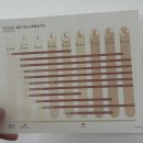 486 | 우가차차486 임신캘린더 내돈내산 후기