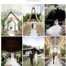 에르모소제주 | 💍W25 본식 스냅사진 사진보라 추천인코드O 계약 후기 여러업체 비교, 수원메리빌리아