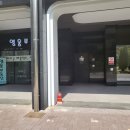 퍼스트레이디네일 이미지
