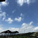 기형목장 | 대관령삼양목장 내돈내산 아이랑 가볼만한곳