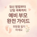 난임극복 임신성공을 위한 준비해야 할 모든 것 | 임신 방법부터 난임 극복까지! 예비 부모가 꼭 알아야 할 완전 가이드