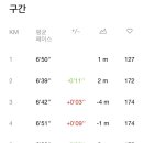 다람 이미지