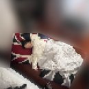 뜰 당구장 | 뭐했다고 마지막이니