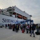 펫크루즈 이미지