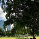 나눔인터내셔널 | 인생 스포츠를 체험하다! 서핑 / 치즈팩토리 / 인터내셔널마켓 / 코나커피 / 와이켈레아울렛 / 미가원...