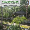 차담by 갤러리더스퀘어 국민대학교 명원박물관 카페