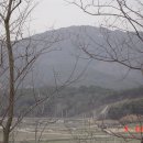 인화초등학교(앞)