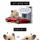 출장기록 (놀러간 거 아님)