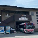 1809 | (11) [교토 벚꽃 여행 6일차] 2025.3.31. 아라시야마 - 호즈가와쿠다리