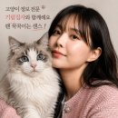 장모님치킨안의점 | 고양이 츄르 간식 시리즈 허브 2026, 추천·영양·키튼·기호성 후기 총정리