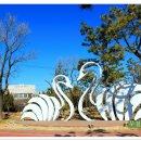 을숙도 생태공원 이미지