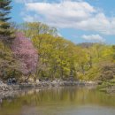 창경궁 홍화문 옆 이미지