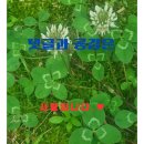 창원축구센터 소세미나실 | 고명환 작가 365일 가슴 설레며 일하는 법 강연 후기