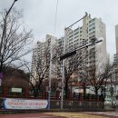 주정차단속-100 이미지