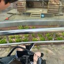 인천대공원 동물원 후기, 아기와 다녀온 주말 나들이