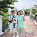 사단법인참사람들