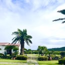 우도피아 이미지