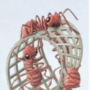 천상의 보금자리 이미지