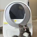 고양이 자동화장실 <b>캣</b><b>링크</b> 럭셔리x 2주차 사용기!!