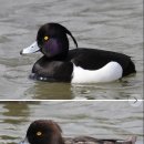 오미마을 이미지