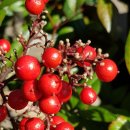 남원 개령암지 마애불상군 이미지