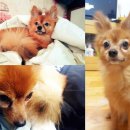 서울화곡4동우체국 이미지