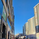 세중약국 이미지