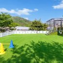 씨네마펜션 이미지