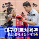 미르체육관 | 대구미르체육관 4년넘게 다닌 사람이 쓰는 후기 무에타이킥복싱
