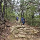 관악산 자연학습장 화장실 이미지