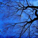 금학산관광농원 이미지