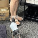 포토이즘동성로스튜디오 이미지
