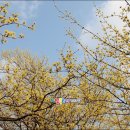 봄꽃 피어나는 제천시 건강을 찾아 떠나는 관광 마일리지 여행 여행블로거기자단 팸투어