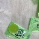 트위츠 | 추천 | 일본젤리 “카수가이 머스캣 구미”, 뉴질랜드 초콜릿 “휘태커스 슬랩미니 트위츠” 내돈내산 후기