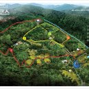 숲 펜션&캠핌장 이미지