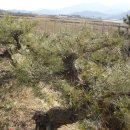 해송4로 이미지