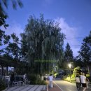 1903 | [칭다오 여행] 길거리 양꼬치 후기, TSINGTAO 1903 탕수육, 사천요리 라쯔지 포장