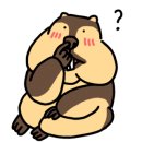 와이제이오 네이버블로그