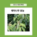 예덕피부관리 이미지