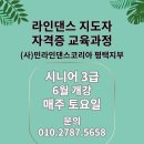 라인댄스(낮) 이미지