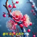 전유진, 폭풍 성장 근황 공개…화사한 트롯 요정＜미디어펜 기사＞ 이미지