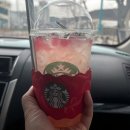 스타벅스 전남화순DT점 | 스타벅스 프로모션 음료 핑크 팝 캐모마일 릴렉서 후기