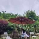 팔공산글램핑 이미지