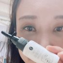 잠솔 이미지