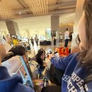 맘모스의류타운 이미지