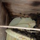 온달농장 이미지