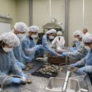 진도현대미술관 이미지