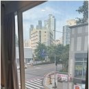 소중하개 펫살롱 | 해운대 애견 호텔, 소중하개에서 특별한 시간을 보내다