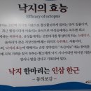 오륙도낙지 - 서구 검암로30번길 20 | 오륙도낙지